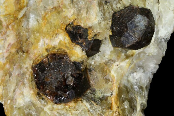 Red Pyrope Garnets in Quartzite - Namibia #117582